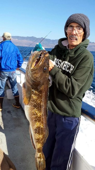 Obituary of Alex D. Adona Sr.