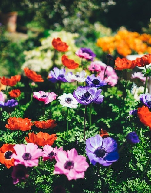 Obituary of Mariolena Jerota Villaestiva