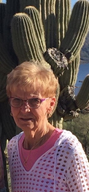 Obituary of Carole Jean Leyk