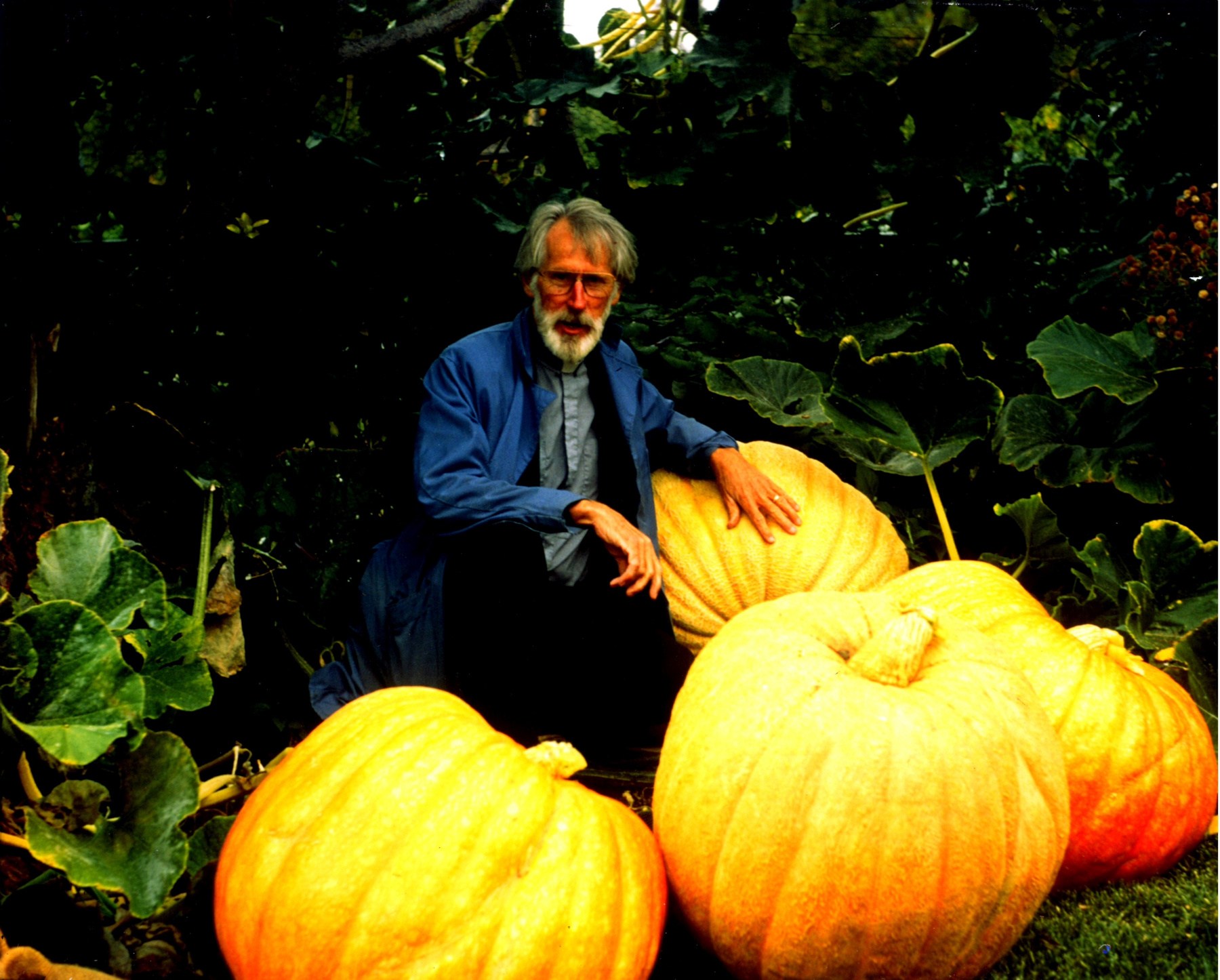 Obituary of Calvin P. Ammerman