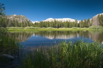 Obituary of Carl C. Christianson