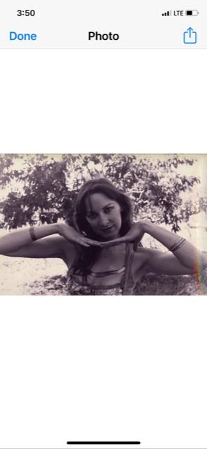 Obituary of Karen "Kim" Irene (Marino) DiJulio