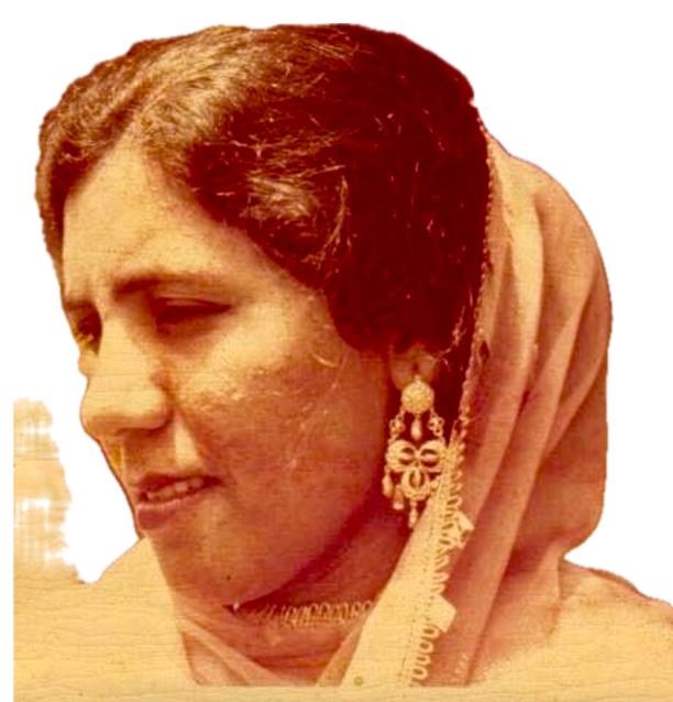 Obituary of Bashir Elwin