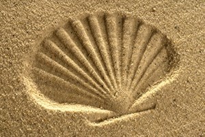 Avis de décès de David Earle Bentlage