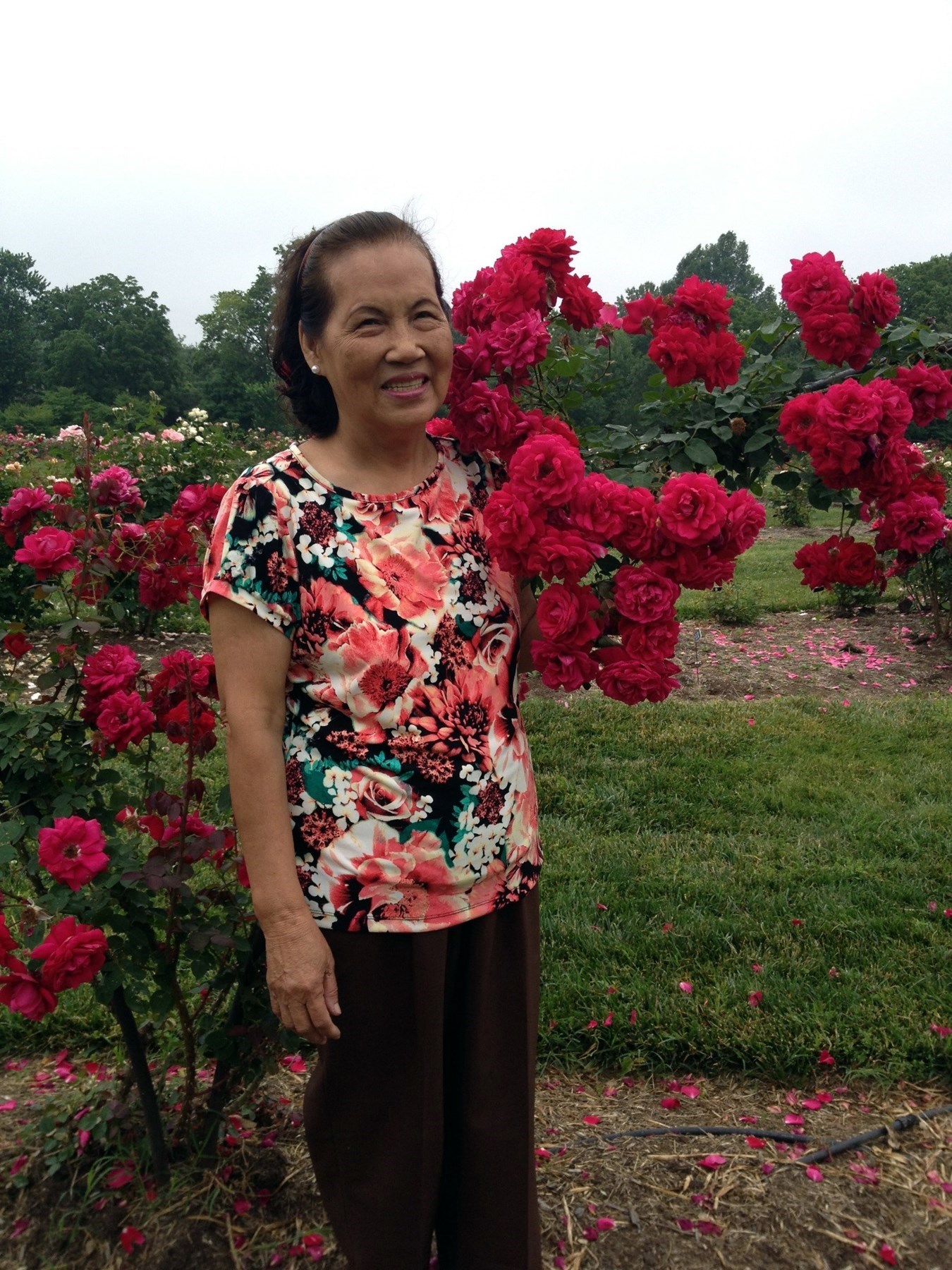 Obituary of Kim Ngoc Nguyen Leonie Noella - June 14, 2019 - From the Family