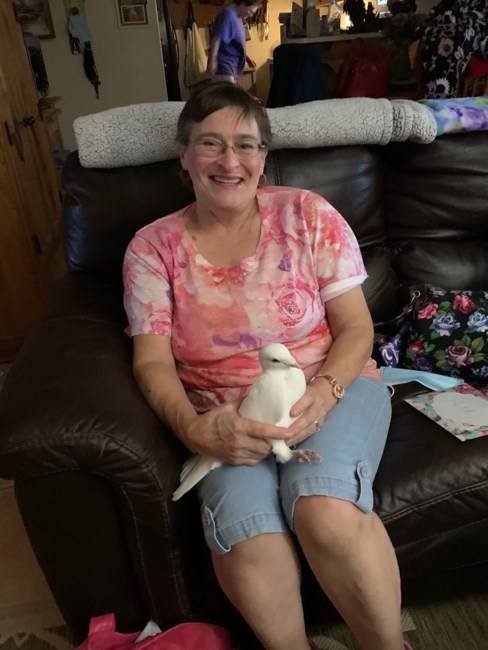 Obituary of Susan Hallonquist