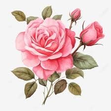 Obituary of Terrion L.  Lewis-Francis