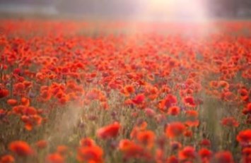 Obituary of Adeline Canta