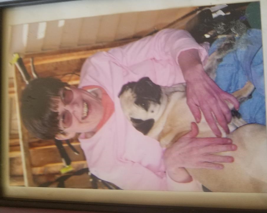 serenity in home pet euthanasia mesa az