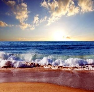 Obituary of Jose Fernandez