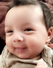 Obituary of Jiraiya Lenee' Ferry