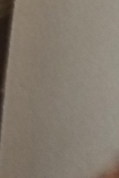 Nancy Rousseau Obituary - New Bern, NC