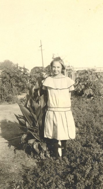 Obituary of Alyce Louise Clark