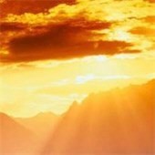 Obituary of Steven White