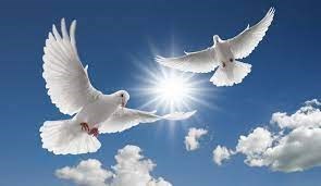 Obituary of Jeffrey Edward Stevens