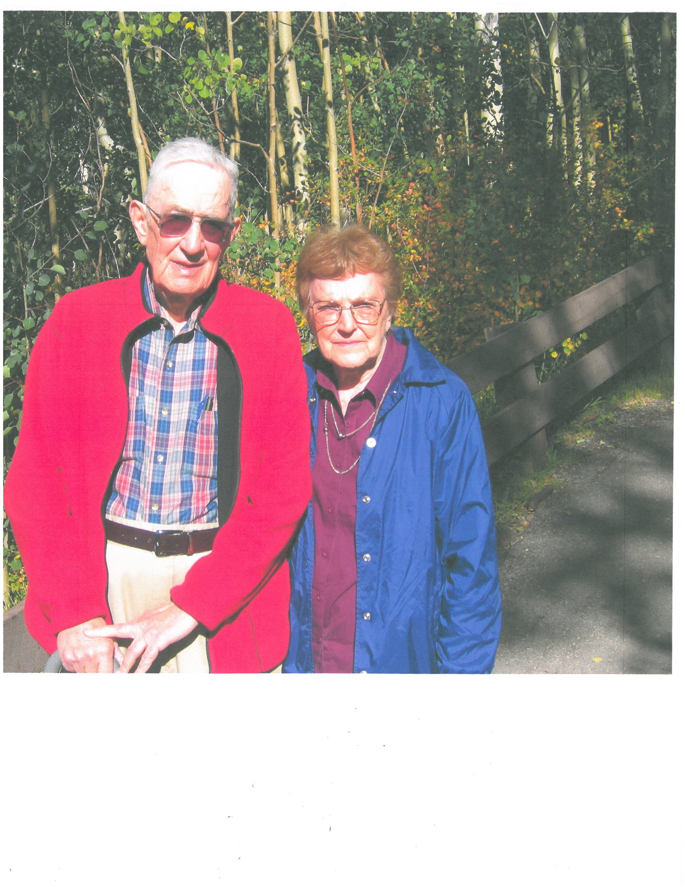 Obituary of Innocente James DeMarco