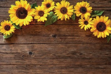 Obituary of Irma Elizabeth Paiz Cruz