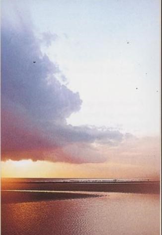 Obituary of Miguel Angel Lugo