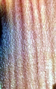 David Rawnsley Obituary - Manahawkin, NJ