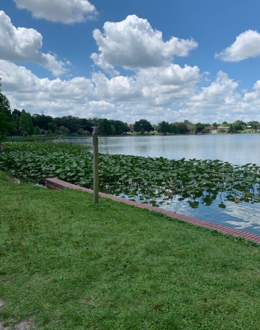 Obituary of David Edgar Wintermute