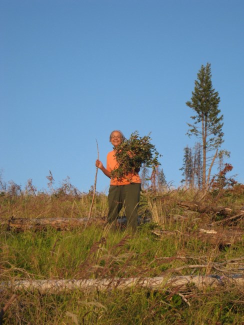 Obituary of Minnie Edith Jensen