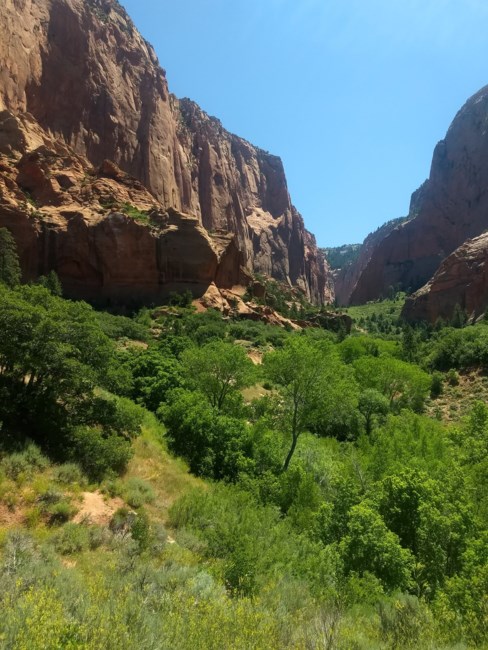 Obituary of Pablo Ivan Reyes