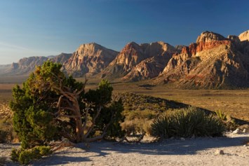 Obituary of Sarabjit Singh