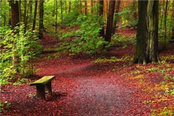 Obituary of Thad David Taylor