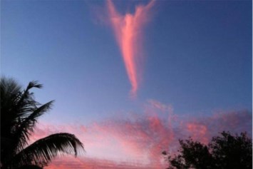 Avis de décès de Stephanie Jane MCMAHON