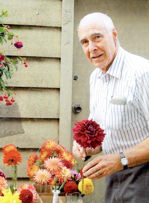 Obituary of Merle Francis Heathcote Boyes