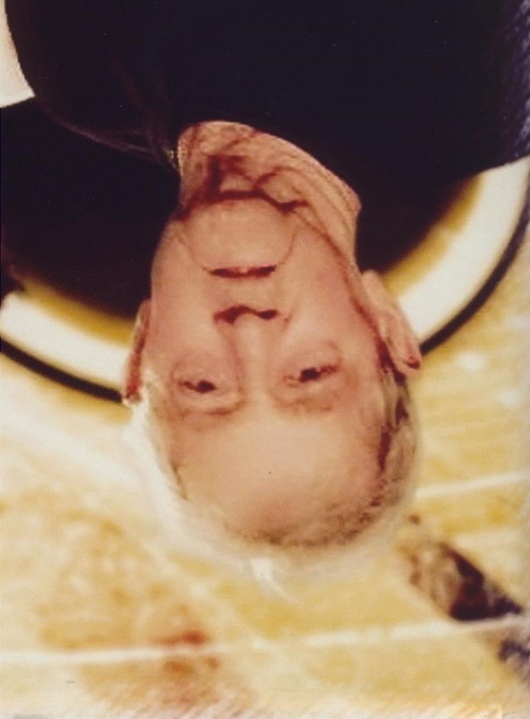 Obituary of Randy Ellis Martinez