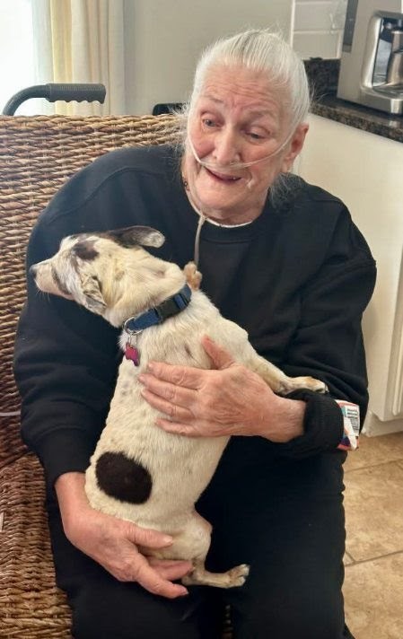 Obituary of Patricia A. Norton