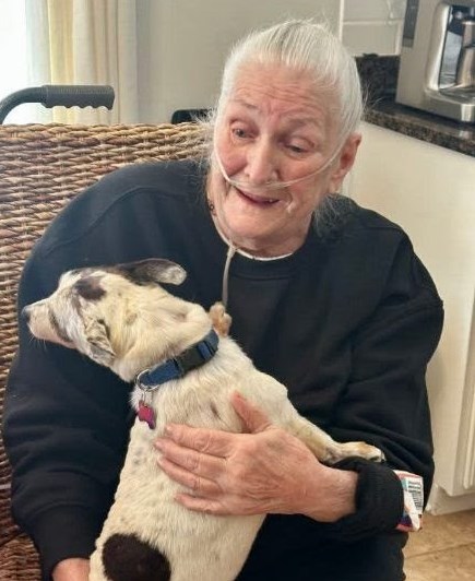 Obituary of Patricia A. Norton