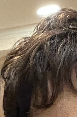 Faye Reed Obituary - Rochester, MI