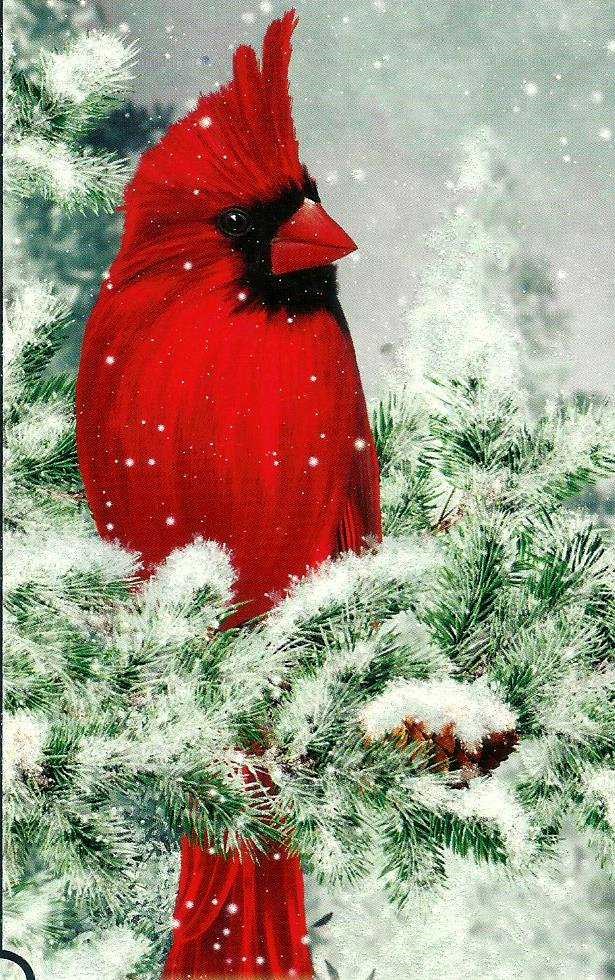 Obituary of Sylvia Ruth Dean