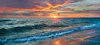 Obituary of Susan Holliday Paul