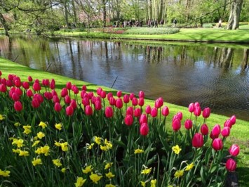 Obituary of Virginia Rodriguez Cortes