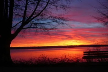 Obituary of Albert Harry Alex