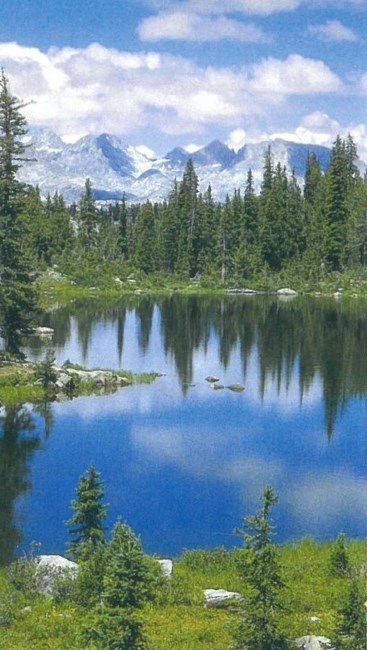 Obituary of David Max Poole