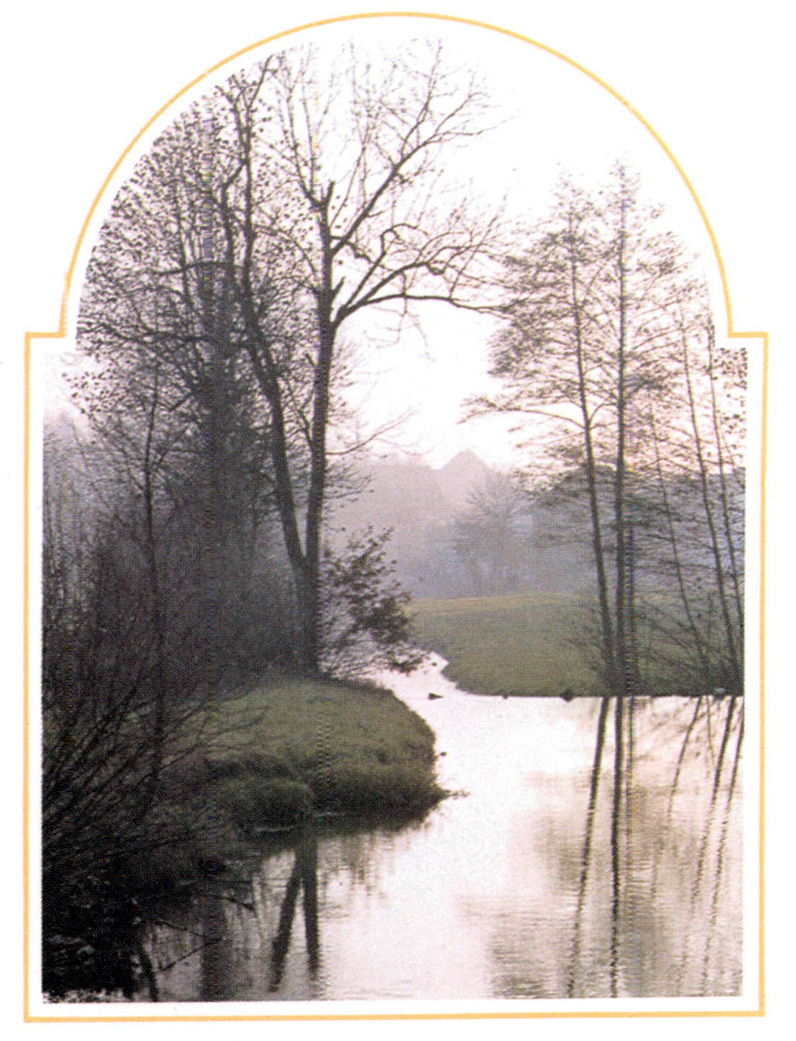 Obituary of Susan Lynne Evans