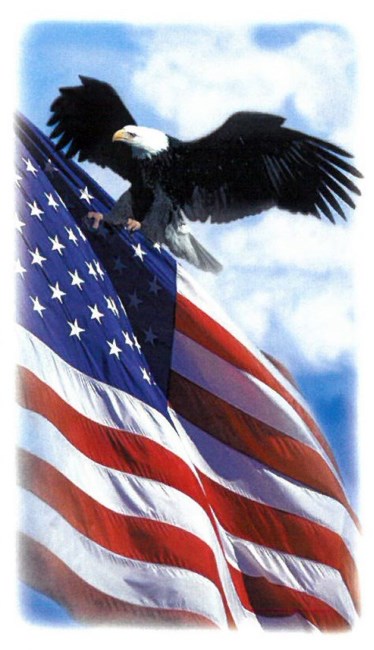 Obituary of Alton Paul Polk