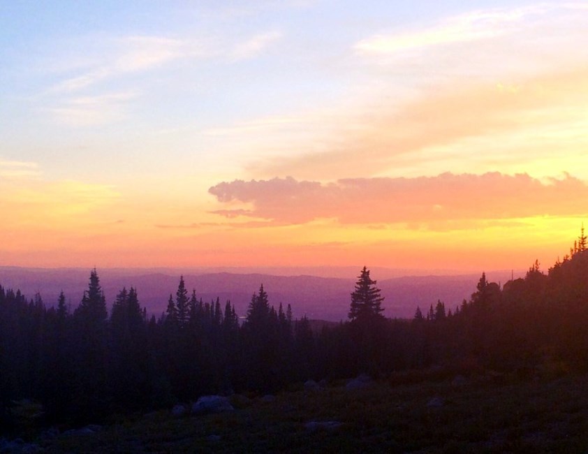 Obituary of Jonathan Quinn