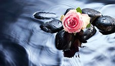 Obituary of Susan H Brownstein