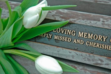 Obituary of Steven Edward Roth