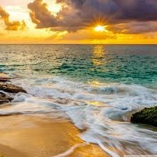 Obituary of William John Mcnamara