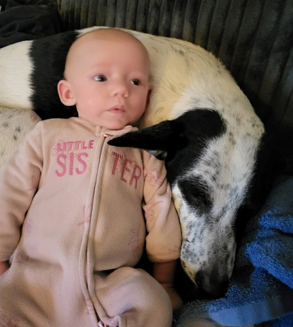 Obituary of Rylie Dawn Hemenway