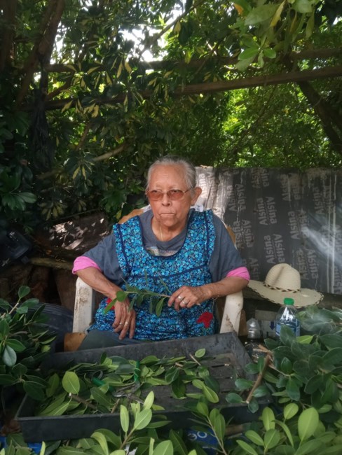 Obituary of Teresa Hernandez Villeda