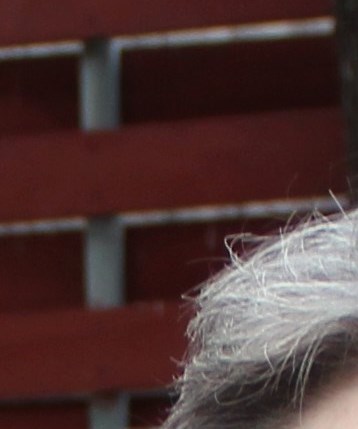 Joyce Taylor Obituary Midland, TX