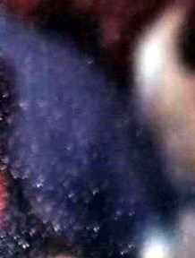 Alice Rey Obituary - Bakersfield, CA