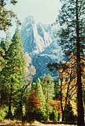 Obituary of Richard Eugene Kwiecien
